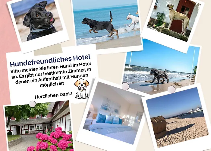Haustierfreundliches Hotel: Hof Norderlück - Das Ostseehotel unter Reet